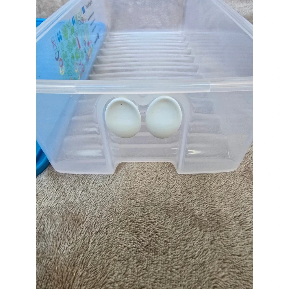 Tupperware fridgesmart large